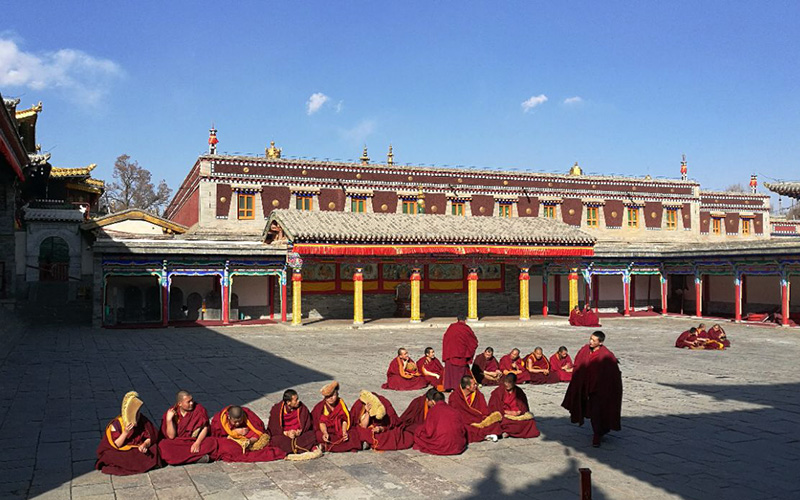 「青海チベット鉄道ツアー」西寧・ラサ・ヤムドォク湖５日間観光ツアー