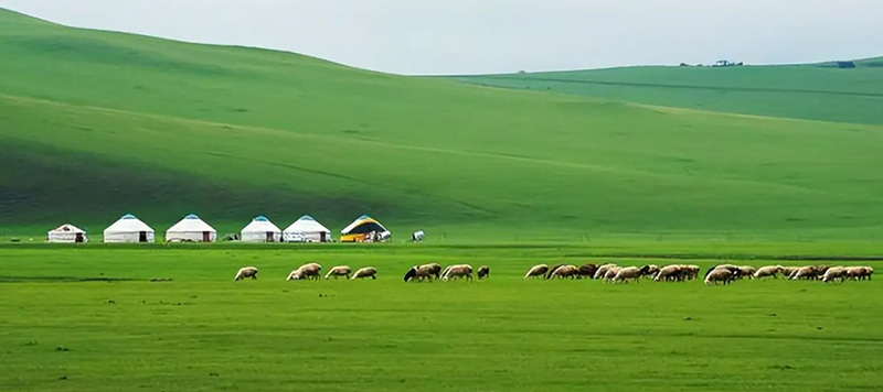 内モンゴルシラムレン草原