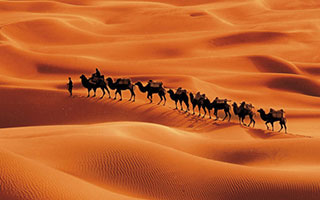 張掖現地オプショナルツアー 張掖現地オプショナルツアー