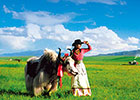 青海チベット鉄道ツアー