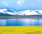 西寧発 青海湖とチャカ塩湖1日観光ツアー