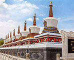 西寧タール寺
