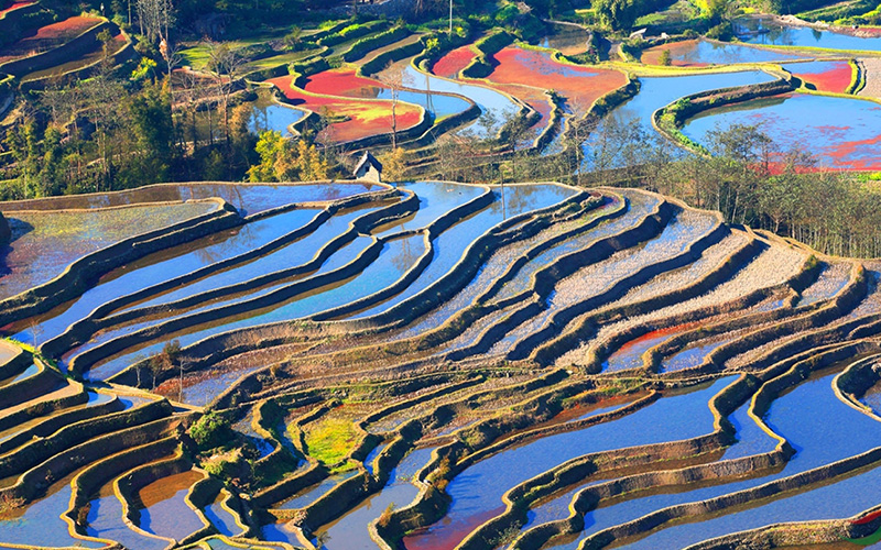 元陽棚田と昆明石林３日間観光ツアー